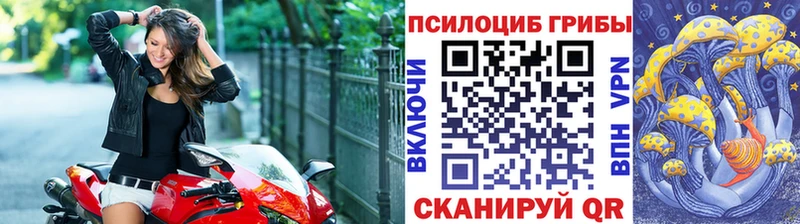 Купить  Суздаль  Псилоцибиновые грибы мицелий 