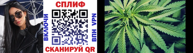 Купить закладки  Суздаль  Канабис марихуана 